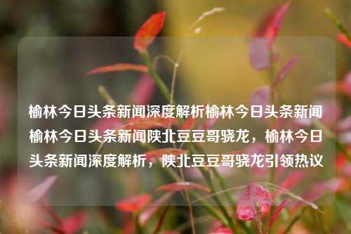 榆林今日头条新闻深度解析榆林今日头条新闻榆林今日头条新闻陕北豆豆哥骁龙，榆林今日头条新闻深度解析，陕北豆豆哥骁龙引领热议，陕北豆豆哥骁龙引领榆林今日头条新闻热议的深度解析