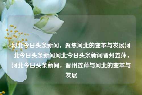 河北今日头条新闻，聚焦河北的变革与发展河北今日头条新闻河北今日头条新闻晋州姜萍，河北今日头条新闻，晋州姜萍与河北的变革与发展，河北今日头条新闻，晋州姜萍与河北的变革与发展焦点报道