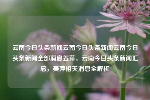 云南今日头条新闻云南今日头条新闻云南今日头条新闻全部消息姜萍，云南今日头条新闻汇总，姜萍相关消息全解析，云南今日头条新闻汇总，姜萍相关消息全解析