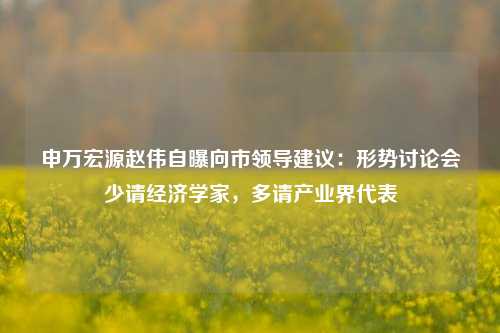 申万宏源赵伟自曝向市领导建议：形势讨论会少请经济学家，多请产业界代表