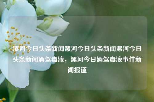 漯河今日头条新闻漯河今日头条新闻漯河今日头条新闻酒驾毒液，漯河今日酒驾毒液事件新闻报道，漯河今日酒驾毒液事件新闻报道