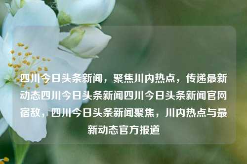 四川今日头条新闻，聚焦川内热点，传递最新动态四川今日头条新闻四川今日头条新闻官网宿敌，四川今日头条新闻聚焦，川内热点与最新动态官方报道，四川今日头条新闻聚焦川内热点与最新动态官方报道