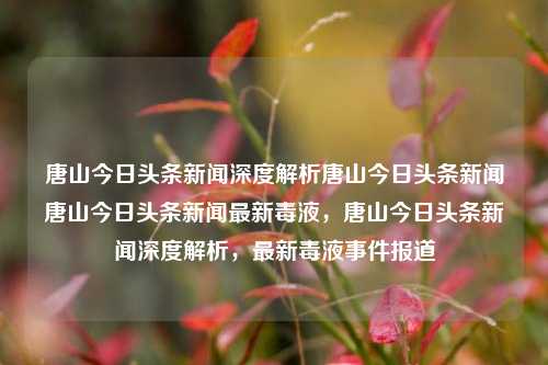 唐山今日头条新闻深度解析唐山今日头条新闻唐山今日头条新闻最新毒液，唐山今日头条新闻深度解析，最新毒液事件报道，唐山今日头条新闻深度解析，最新毒液事件报道及深度解读