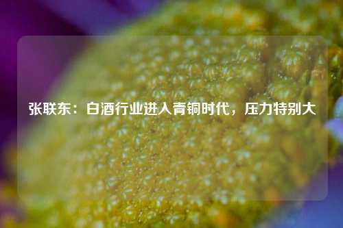 张联东：白酒行业进入青铜时代，压力特别大