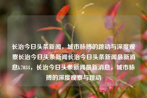 长治今日头条新闻，城市脉搏的跳动与深度观察长治今日头条新闻长治今日头条新闻最新消息k7034，长治今日头条新闻最新消息，城市脉搏的深度观察与跳动，长治今日头条新闻，深度观察城市脉搏的跳动与最新消息