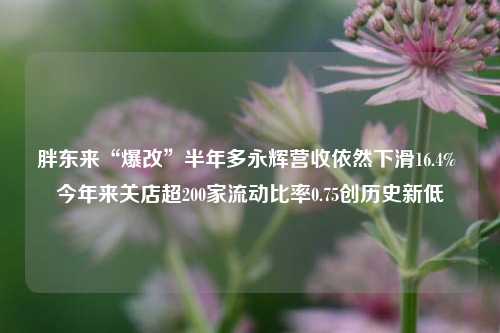 胖东来“爆改”半年多永辉营收依然下滑16.4% 今年来关店超200家流动比率0.75创历史新低