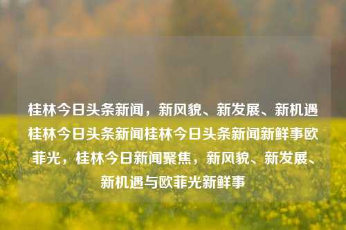 桂林今日头条新闻，新风貌、新发展、新机遇桂林今日头条新闻桂林今日头条新闻新鲜事欧菲光，桂林今日新闻聚焦，新风貌、新发展、新机遇与欧菲光新鲜事，桂林今日新闻聚焦，欧菲光引领新风貌、新发展、新机遇的最新动态