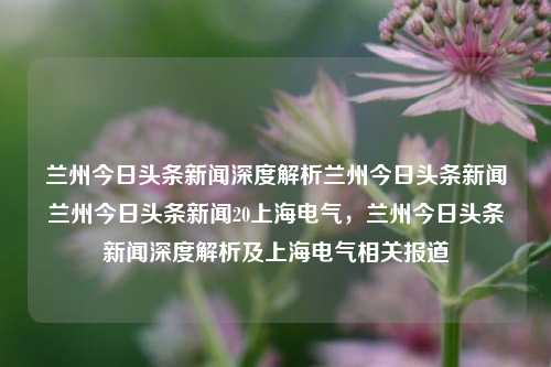 兰州今日头条新闻深度解析兰州今日头条新闻兰州今日头条新闻20上海电气，兰州今日头条新闻深度解析及上海电气相关报道，兰州今日头条新闻深度解析及上海电气相关报道综述