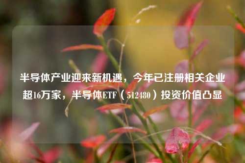 半导体产业迎来新机遇，今年已注册相关企业超16万家，半导体ETF（512480）投资价值凸显