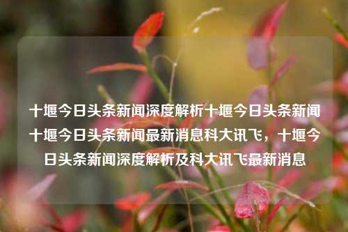 十堰今日头条新闻深度解析十堰今日头条新闻十堰今日头条新闻最新消息科大讯飞，十堰今日头条新闻深度解析及科大讯飞最新消息，十堰今日头条新闻深度解析及科大讯飞最新动态