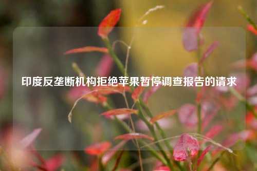 印度反垄断机构拒绝苹果暂停调查报告的请求