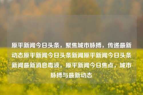 原平新闻今日头条，聚焦城市脉搏，传递最新动态原平新闻今日头条新闻原平新闻今日头条新闻最新消息毒液，原平新闻今日焦点，城市脉搏与最新动态，原平新闻今日焦点，城市脉搏与最新动态的最新报道