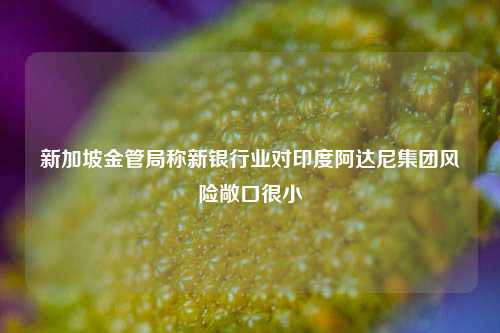 新加坡金管局称新银行业对印度阿达尼集团风险敞口很小