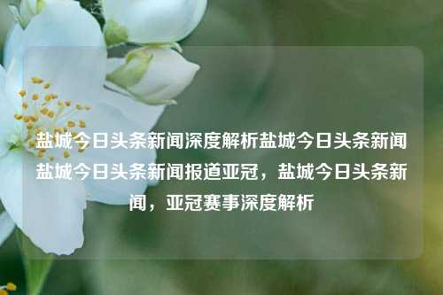 盐城今日头条新闻深度解析盐城今日头条新闻盐城今日头条新闻报道亚冠，盐城今日头条新闻，亚冠赛事深度解析，盐城今日头条新闻，亚冠赛事深度解析与报道