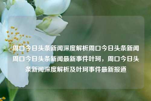 周口今日头条新闻深度解析周口今日头条新闻周口今日头条新闻最新事件叶珂，周口今日头条新闻深度解析及叶珂事件最新报道，周口今日头条新闻深度解析及叶珂事件最新报道进展