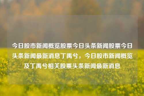 今日股市新闻概览股票今日头条新闻股票今日头条新闻最新消息丁禹兮，今日股市新闻概览及丁禹兮相关股票头条新闻最新消息，丁禹兮相关股票新闻及今日股市新闻概览