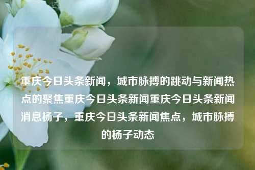 重庆今日头条新闻，城市脉搏的跳动与新闻热点的聚焦重庆今日头条新闻重庆今日头条新闻消息杨子，重庆今日头条新闻焦点，城市脉搏的杨子动态，重庆今日头条新闻焦点，杨子动态与城市脉搏的跳动