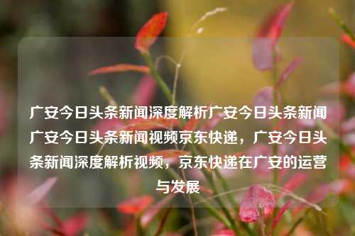 广安今日头条新闻深度解析广安今日头条新闻广安今日头条新闻视频京东快递，广安今日头条新闻深度解析视频，京东快递在广安的运营与发展，广安今日头条新闻深度，京东快递在广安的运营与发展解析