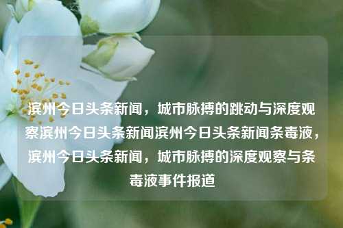 滨州今日头条新闻，城市脉搏的跳动与深度观察滨州今日头条新闻滨州今日头条新闻条毒液，滨州今日头条新闻，城市脉搏的深度观察与条毒液事件报道，滨州今日头条新闻与城市脉搏深度观察，条毒液事件报道