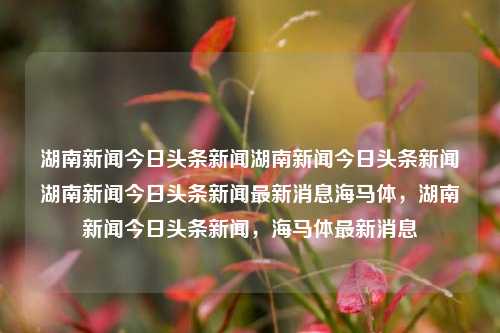 湖南新闻今日头条新闻湖南新闻今日头条新闻湖南新闻今日头条新闻最新消息海马体，湖南新闻今日头条新闻，海马体最新消息，湖南新闻今日头条，海马体最新消息