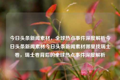 今日头条新闻素材，全球热点事件深度解析今日头条新闻素材今日头条新闻素材哪里找瑞士卷，瑞士卷背后的全球热点事件深度解析，瑞士卷背后的全球热点事件深度解析，今日头条新闻素材解析与全球趋势观察