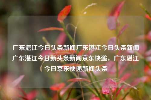 广东湛江今日头条新闻广东湛江今日头条新闻广东湛江今日新头条新闻京东快递，广东湛江今日京东快递新闻头条，广东湛江京东快递新闻头条