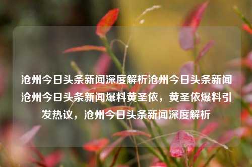 沧州今日头条新闻深度解析沧州今日头条新闻沧州今日头条新闻爆料黄圣依，黄圣依爆料引发热议，沧州今日头条新闻深度解析，沧州今日头条新闻深度解析，黄圣依爆料引发热议