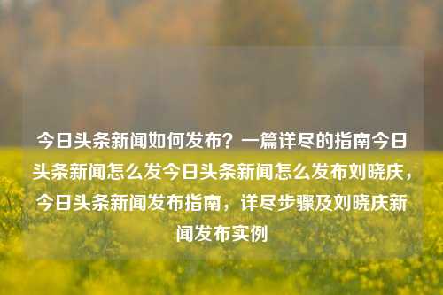 今日头条新闻如何发布？一篇详尽的指南今日头条新闻怎么发今日头条新闻怎么发布刘晓庆，今日头条新闻发布指南，详尽步骤及刘晓庆新闻发布实例，今日头条新闻发布全攻略，详尽步骤及刘晓庆新闻发布实例解析