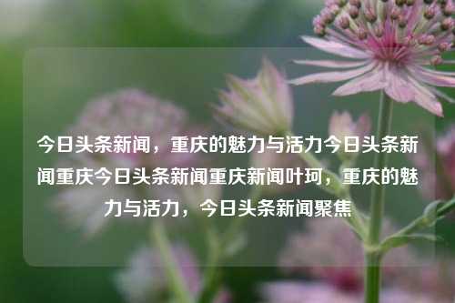 今日头条新闻，重庆的魅力与活力今日头条新闻重庆今日头条新闻重庆新闻叶珂，重庆的魅力与活力，今日头条新闻聚焦，重庆的魅力与活力，今日头条新闻聚焦