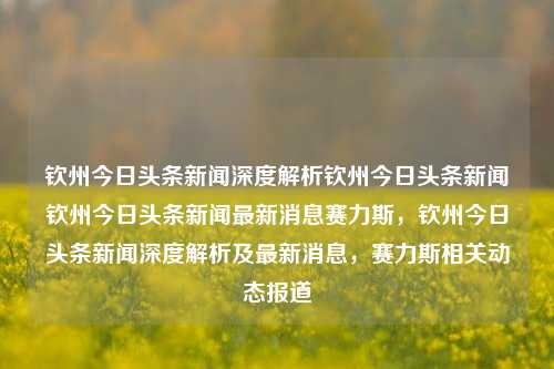 钦州今日头条新闻深度解析钦州今日头条新闻钦州今日头条新闻最新消息赛力斯，钦州今日头条新闻深度解析及最新消息，赛力斯相关动态报道，钦州今日头条新闻深度解析，赛力斯相关动态报道及最新消息