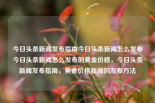 今日头条新闻发布指南今日头条新闻怎么发布今日头条新闻怎么发布的黄金价格，今日头条新闻发布指南，黄金价格新闻的发布方法，今日头条新闻发布指南，黄金价格新闻的发布方法与步骤