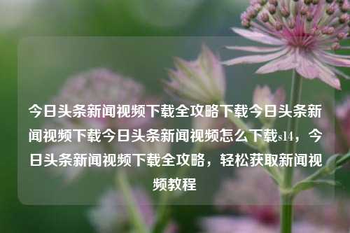 今日头条新闻视频下载全攻略下载今日头条新闻视频下载今日头条新闻视频怎么下载s14，今日头条新闻视频下载全攻略，轻松获取新闻视频教程，今日头条新闻视频下载全攻略，轻松获取新闻视频教程