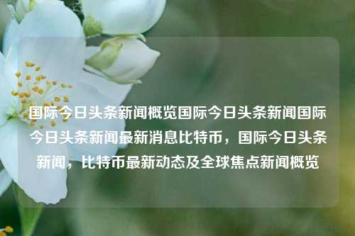 国际今日头条新闻概览国际今日头条新闻国际今日头条新闻最新消息比特币，国际今日头条新闻，比特币最新动态及全球焦点新闻概览，国际比特币焦点新闻概览及全球今日头条动态