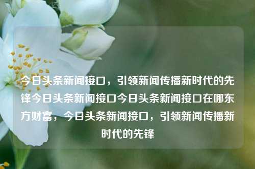 今日头条新闻接口，引领新闻传播新时代的先锋今日头条新闻接口今日头条新闻接口在哪东方财富，今日头条新闻接口，引领新闻传播新时代的先锋，今日头条新闻接口，新闻传播新时代的领航者