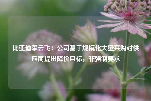 比亚迪李云飞：公司基于规模化大量采购对供应商提出降价目标，非强制要求