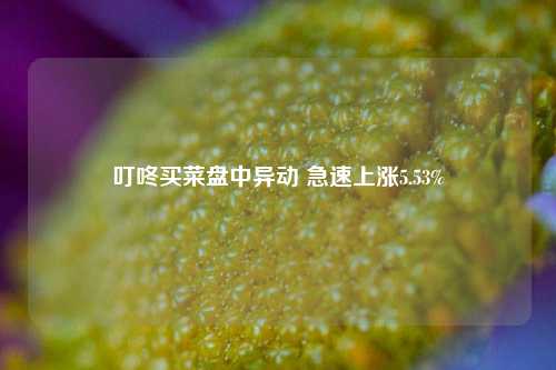 叮咚买菜盘中异动 急速上涨5.53%