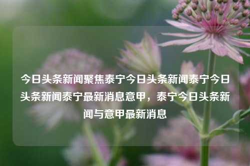 今日头条新闻聚焦泰宁今日头条新闻泰宁今日头条新闻泰宁最新消息意甲，泰宁今日头条新闻与意甲最新消息，泰宁今日头条新闻与意甲最新消息聚焦