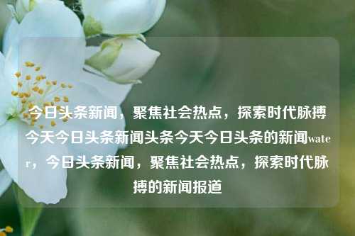 今日头条新闻，聚焦社会热点，探索时代脉搏今天今日头条新闻头条今天今日头条的新闻water，今日头条新闻，聚焦社会热点，探索时代脉搏的新闻报道，今日头条新闻聚焦，社会热点探索与时代脉搏的报道