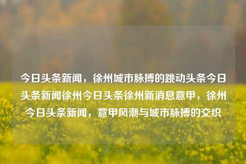 今日头条新闻，徐州城市脉搏的跳动头条今日头条新闻徐州今日头条徐州新消息意甲，徐州今日头条新闻，意甲风潮与城市脉搏的交织，徐州今日头条新闻与意甲风潮交织的城市脉搏