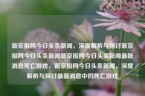 新京报网今日头条新闻，深度解析与探讨新京报网今日头条新闻新京报网今日头条新闻最新消息死亡游戏，新京报网今日头条新闻，深度解析与探讨最新消息中的死亡游戏，新京报网深度解析，今日头条新闻中的死亡游戏事件解析与探讨