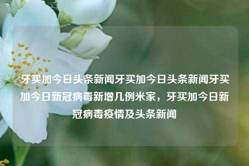 牙买加今日头条新闻牙买加今日头条新闻牙买加今日新冠病毒新增几例米家，牙买加今日新冠病毒疫情及头条新闻，牙买加今日新冠病毒疫情及最新头条新闻