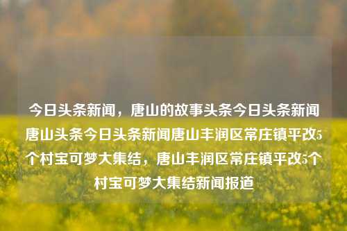 今日头条新闻，唐山的故事头条今日头条新闻唐山头条今日头条新闻唐山丰润区常庄镇平改5个村宝可梦大集结，唐山丰润区常庄镇平改5个村宝可梦大集结新闻报道，唐山丰润区常庄镇平改宝可梦大集结新闻报道