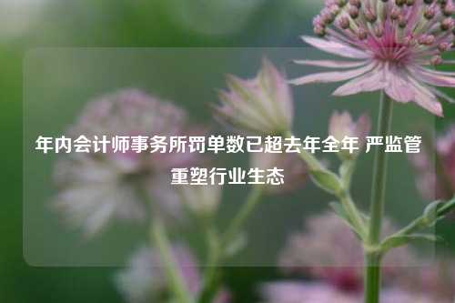 年内会计师事务所罚单数已超去年全年 严监管重塑行业生态