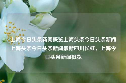 上海今日头条新闻概览上海头条今日头条新闻上海头条今日头条新闻最新四川长虹，上海今日头条新闻概览，上海今日头条新闻概览，四川长虹及最新要闻汇总