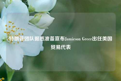 特朗普团队据悉准备宣布Jamieson Greer出任美国贸易代表