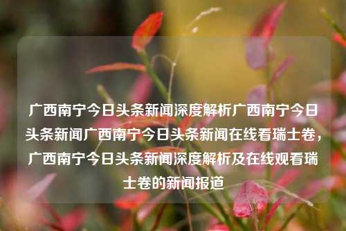 广西南宁今日头条新闻深度解析广西南宁今日头条新闻广西南宁今日头条新闻在线看瑞士卷，广西南宁今日头条新闻深度解析及在线观看瑞士卷的新闻报道，广西南宁今日头条新闻深度解析及瑞士卷的新闻报道在线观看