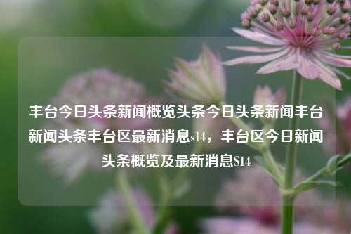 丰台今日头条新闻概览头条今日头条新闻丰台新闻头条丰台区最新消息s14，丰台区今日新闻头条概览及最新消息S14，丰台区今日新闻头条概览及S14最新消息