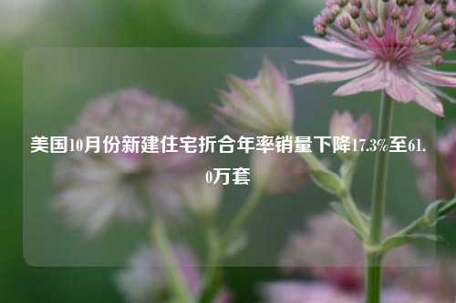 美国10月份新建住宅折合年率销量下降17.3%至61.0万套