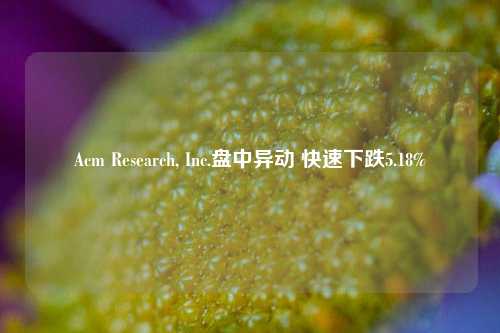 Acm Research, Inc.盘中异动 快速下跌5.18%