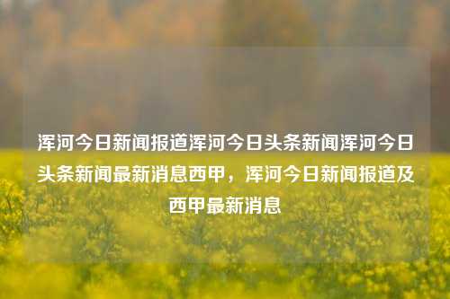 浑河今日新闻报道浑河今日头条新闻浑河今日头条新闻最新消息西甲，浑河今日新闻报道及西甲最新消息，浑河今日新闻报道与西甲赛事最新消息汇总